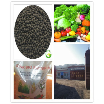 Fertilizante de microorganismos orgânicos Granular Bio Fertilizantes